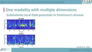 Temporal burst dynamics in invasive recordings. -Dr. Roxanne Lofredi