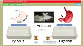 Antiulcer Activity by Pylorus Ligation Method Explained in English | Ex-Pharm Software Demonstration