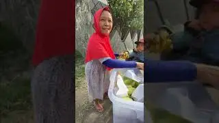 perjuangan nenek merawat cucunya yg dah yatim piatu😢indahnya berbagi DIY@titikdenisa5547