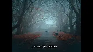 הלילה הולך בשדרות , דודו זכאי