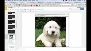 Golang Web Routing and Golang Restful Web Design