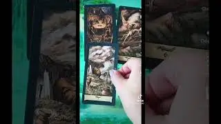 С какой стороны вам ждать негатив? Расклад. #тарологонлайн