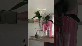 Топ стойких цветов для дома