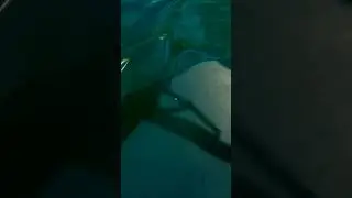 It's 2023 and we still can't dive in the water... 