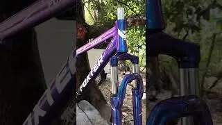 Chameleon Paint Job Customization