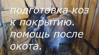 Жизнь в рязанской глубинке. Поговорим о козах.