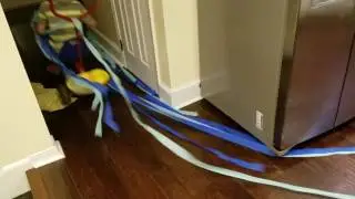Speed Racer