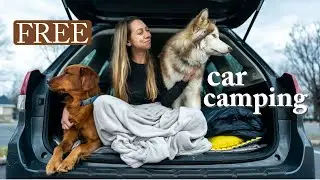Car Camping In My Subaru Forester | Missing Vanlife
