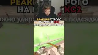 twitch: strogo СТРОГО СМОТРИТ РАЗРУШЕНИЕ МИФОВ В КС2 