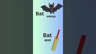 What is a homograph? | English grammar @englishwalididi