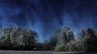 Winter Night Animation Background | Free Stock Video Footage HD 4K