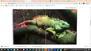 Website Load Time In SEO Search Engine Optimization Video in Urdu | Image Compressor