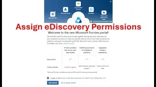 How to Assign eDiscovery Permissions in the Microsoft Purview Compliance Portal