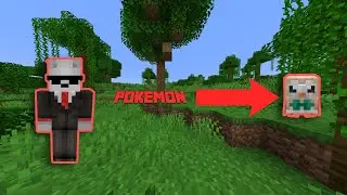 I Put Pokemon in Minecraft