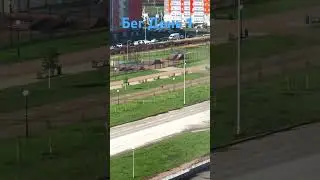 Бег 1 День.