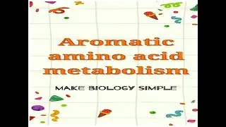 Aromatic amino acid metabolism - Biochemistry