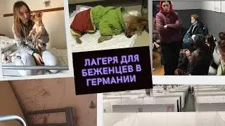 Лагеря для беженцев в Германии 🇩🇪 | Гессен беженцы