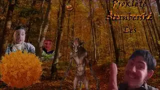 Prokleté Šternberské Les (Official Tune From The Woods)