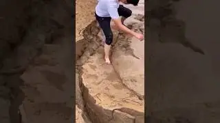 Don't do this if you get caught in quicksand 