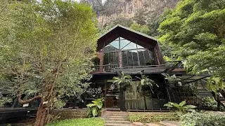 คาเฟ่ลับกลางสวนยาง ; Into the forest in Krabi