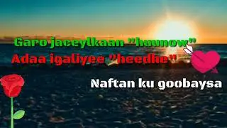 Hees qoraal somali Garo Jaceylka 2024