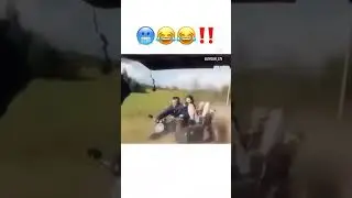 Бешеные