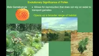 Introduction to Seed Plants