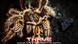 [FREE] THRIVE - Dark Creepy Mysterious Trap Beat  (Prod. DEVIZE)