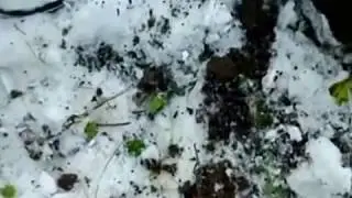 покопушки... 07.11.15.г#14