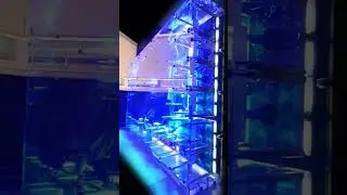 The HuMan16R Test Live Performance Synesthetic Light Symphony #ableton #live #electronicmusic #drums