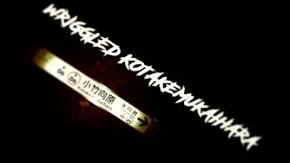 WRIGGLED KOTAKEMUKAIHARA