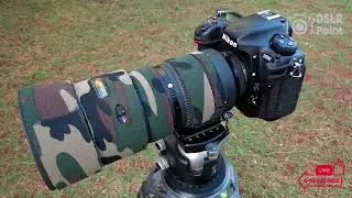 Top 5 Best Cameras for Wildlife Photography Beginners