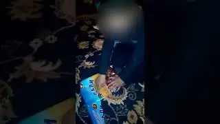 Прикол прайник