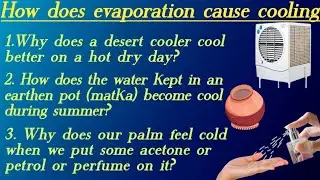 How does evaporation cause cooling? by Concept Learning #evaporation #class9 #animation
