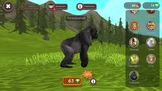 Обзор на вилд крафт