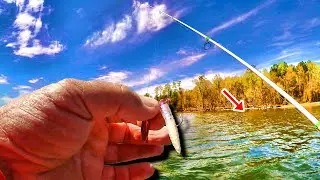 The Bait That Catches Monsters! Deadly Crappie Fishing Setup!