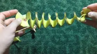 Распаковка с Joom 12 Часть 2.
