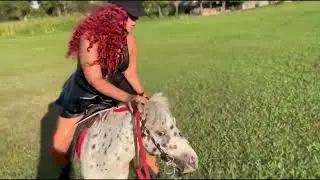 Hard Pony Riding 