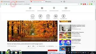 скачиваем видео с сервиса ютюб
