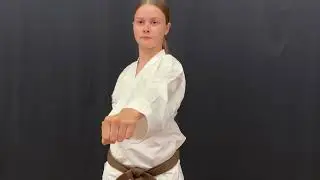 Pensum Taifu Minikarate 1. streg