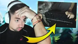 ΝΑ ΒΑΛΩ ΤΟΝ ΓΑΤΟ ΜΟΥ ΝΑ ΠΑΙΞΕΙ LOL!?