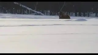 Якутские лошади. Саха сылгыта