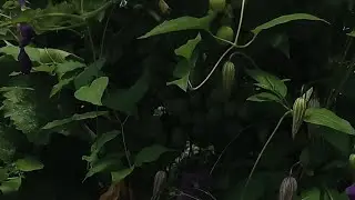 Что сегодня все хотят?