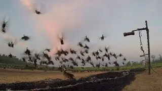 Catching Ducks with a Rocket Net
