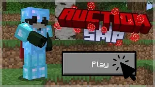 Auction SMP- An SMP For Small Content Creators (Applications Closed)