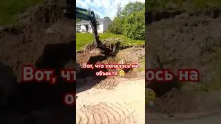 23 июня 2024 г.