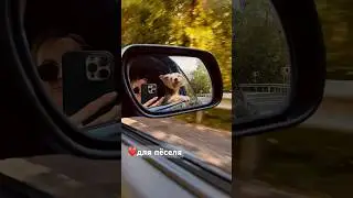 Любитель путешествий ❤️поддержи Изюма ❤️🫶🏻