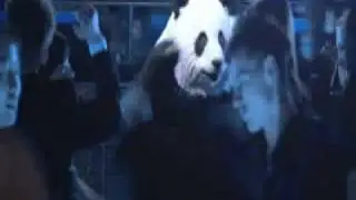 Zen Panda (Techno Remix) Tom Snare - Waterfalls