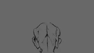 Werewolf Transformation Animation