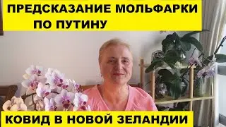 ПРЕДСКАЗАНИЕ МОЛЬФАРКИ про ПУТИНА...КОВИД в НОВОЙ ЗЕЛАНДИИ на 07.03.22г
